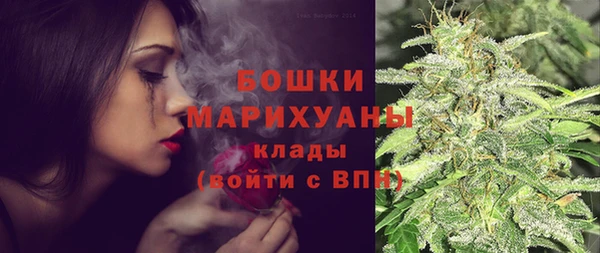 spice Горняк