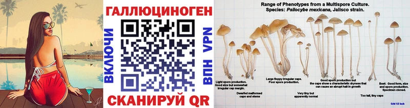 мориарти состав  Горбатов  Псилоцибиновые грибы ЛСД 